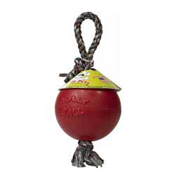 Romp-N-Roll Dog Toy  Jolly Pet